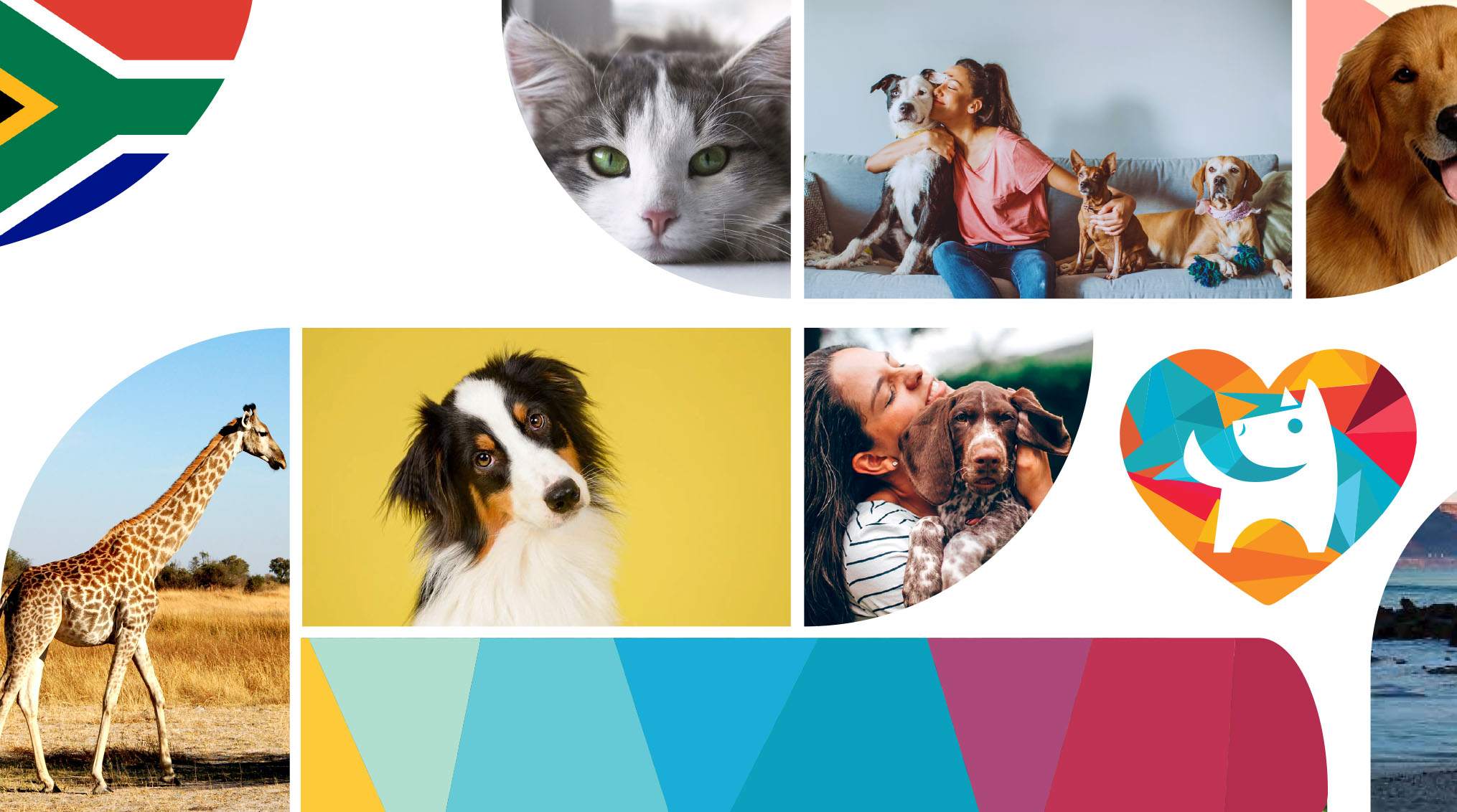 Purrfect Pet & House Sitters Website Development